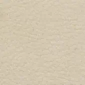 Beige nubuck texture with granular surface, exhibiting a matte finish and subtle variations in tone, creating a soft, organic appearance.